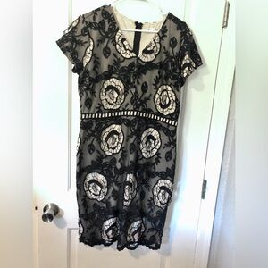 Elegant Black and White Lace Dress